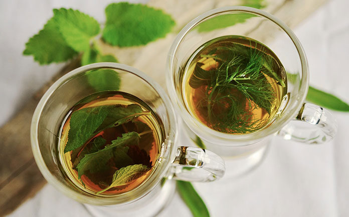 Dlaczego warto pić zieloną herbatę