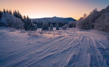 Co oznacza ZR na oponie motocyklowej?