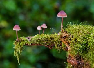 Jakie są dobre dyski twarde?