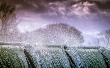 O której godzinie można pryskać zboża?