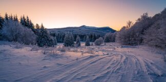 Czy opony M S to zimowe?